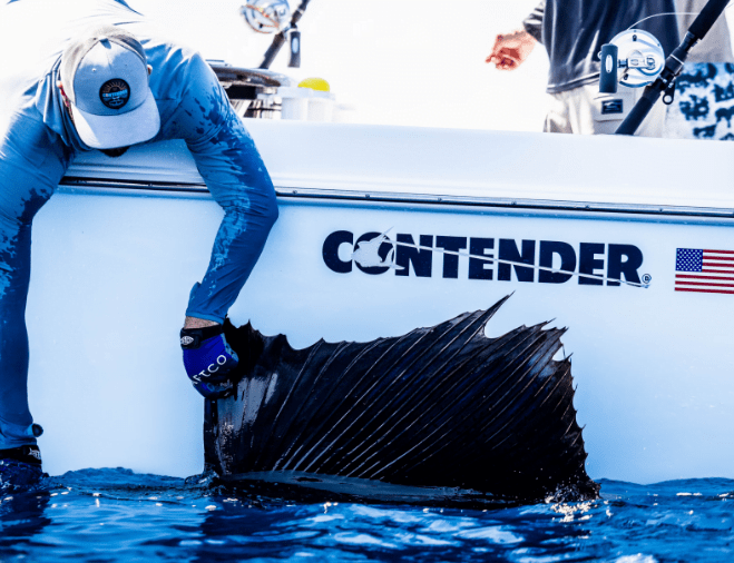 Person in a hat and gloves holding the dorsal fin of a large fish over the side of a white boat labeled "Contender" with the American flag.